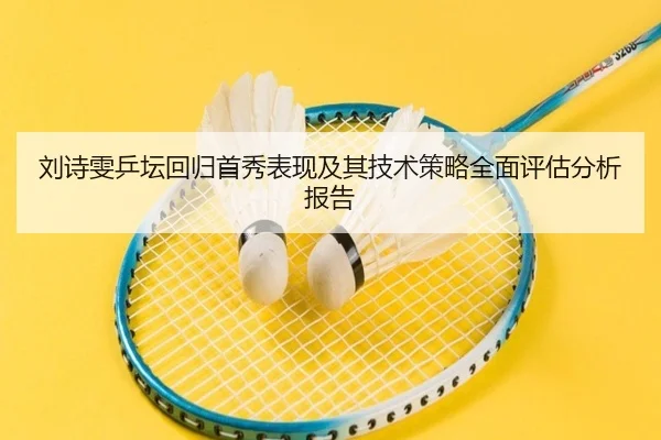 刘诗雯乒坛回归首秀表现及其技术策略全面评估分析报告 | Kaiyun